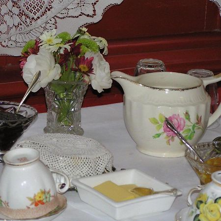 Albatross Inn Bed & Breakfast Dunedin Extérieur photo